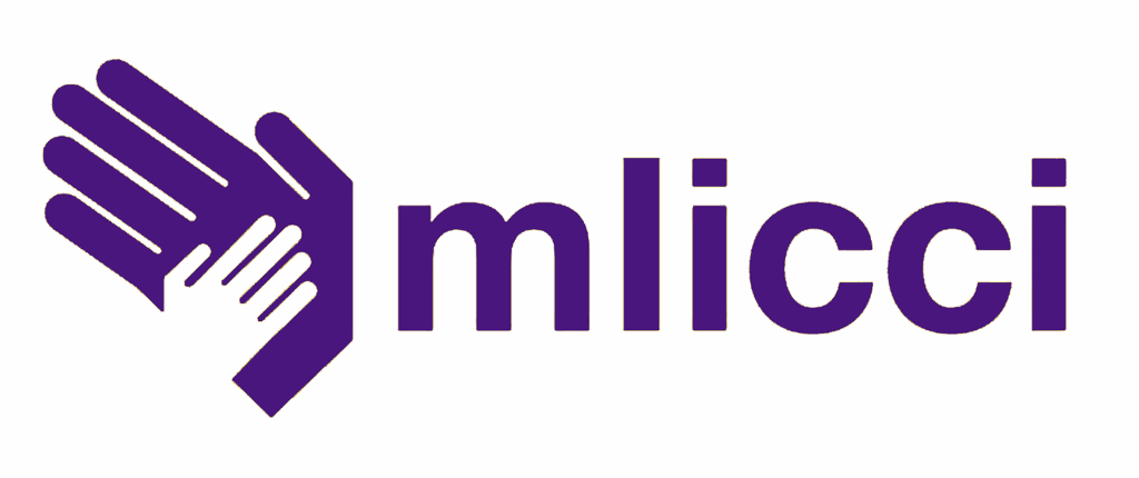 Mississippi Low Income Child Care Initiative